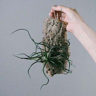 それぞれに個性がたっぷり！