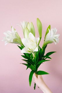 3本お届けします。