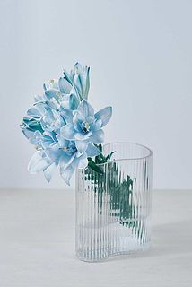 開花時のサイズ感。直径10〜12cmほどの小ぶりサイズです。使用花器：ウェーブ※花器は付属しません