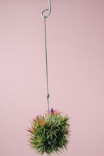 吊りさげ用のフック付きです！