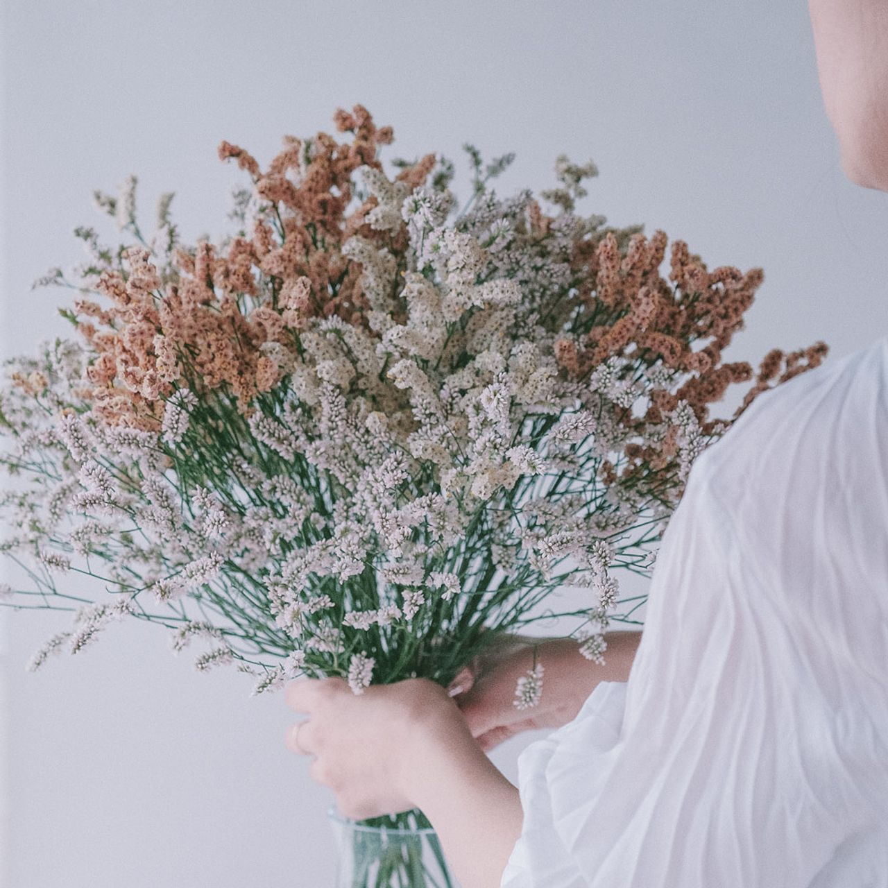 〜春の景色〜ミモザハイブリッドスターチスの春待ちフライングリースドライフラワー 春の息吹が近づいてきました！（国営武蔵丘陵森林公園） | 一般財団