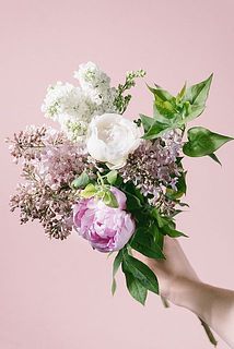 お届けイメージ