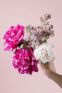 お届けイメージ