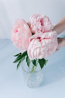 優しいミルキーピンクです。