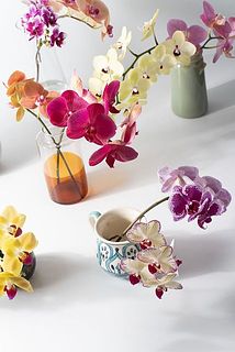 どの色が届くかはお楽しみに🌟