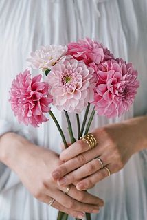 小ぶりだけど存在感たっぷり。今回は6本お届けします。