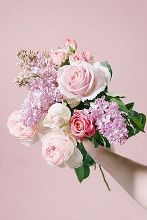 お届け例（内容は毎回異なります）