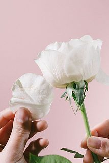 バラの外側の花びらは、お花を守るためについています。傷や汚れが気になるときは、そっと取りのぞいてみてください。