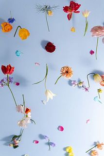 おたのしみに💜