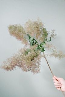 ふわふわでかわいい🥰