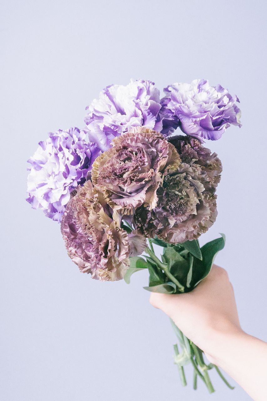 マーコ クレイフラワー　オルレア　トルコ桔梗 マーコ クレイフラワー オルレア トルコ桔梗 マーコ様 専用 クレイ