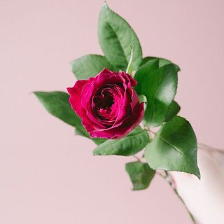 開花する姿を楽しんで😉