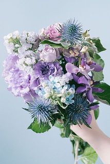 お届け例（毎回内容は異なります）