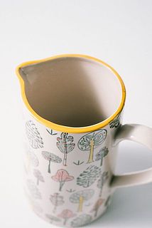 縁がイエローなのもポイント🍋