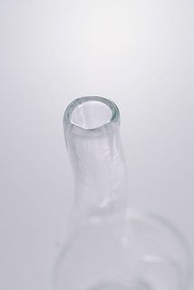 鼻先は洗浄しにくいので、泡スプレーなどで洗ってくださいね。