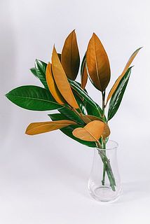 ばさっと花器に飾るだけでおしゃれ