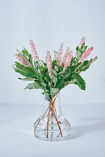 今の時期しか出回らない旬の枝もの。