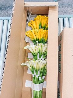 今回お届けする品種のイメージです（ゴールドメダル・ブラックアイドビューディー）