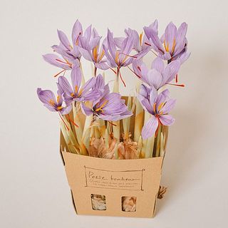 開花イメージ（箱は付きません）