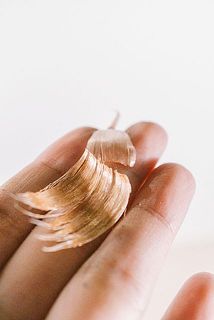 皮が取れている場合がございます。