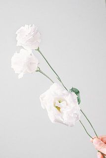 花付きには個体差がございます。