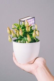 形には捕虫器の付きには個体差があります。