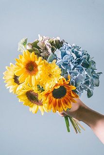 ひまわりの品種、色はおまかせになります。