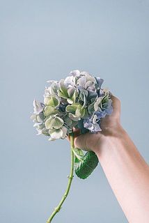 大きさには個体差がございます。