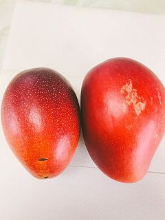 マンゴーの表面に傷や色抜けがありますが、味は秀品と変わりません。