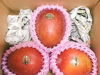1kg以上（2〜3個）お届けします