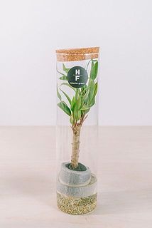 浮輪の色もおまかせになります。