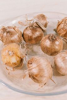 8球お届けします。