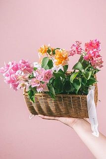 カラーの組み合わせ例(組み合わせは毎回異なります)