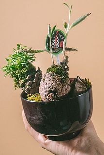 お届け例