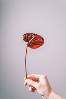 一部約20〜25cmほどの短めサイズのものをお届けする可能性がございます。