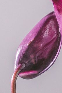 特性として細かな傷がある場合がございます。