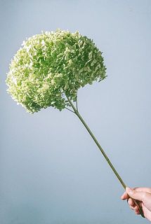 お届け例