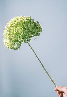 お届け例