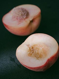 ジューシーな果実がたまりません🤤