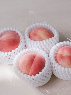 保護ネットに入れてクール便でお届けします。