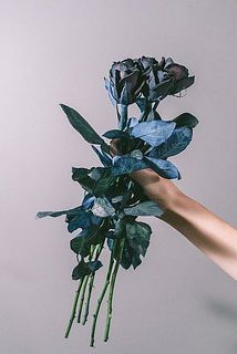 染めの特性上、外側の花びらが乾燥している場合がございます。ご了承ください。