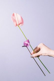 茎の長さには個体差があります。20cmほどのものも入ることも。高低差をつけて飾ってみてください。