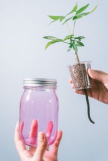 ジャーにお水を入れると紐から水が伝って給水されます。
