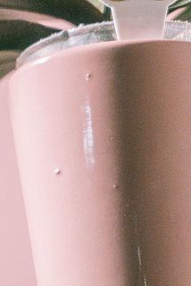陶器鉢には突起がある場合がございます。