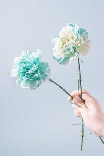 染め具合には個体差がございます。