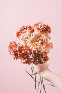 カーネーションお届け例