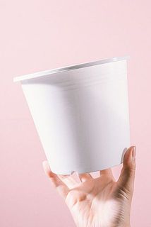 白のプラ鉢でお届けします。
