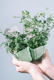 咲いているお花がない状態でお届けすることがございます。
