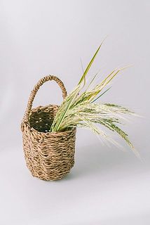 今の季節なら、ドライの麦などをラフに飾ってみて。