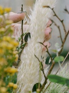 ふわふわ🐑